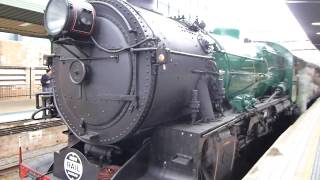 Australian Steam Trains Transport Heritage Expo at Sydney Central [upl. by Bernhard]