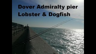 SEA FISHING AT Dover Admiralty Pier Lobster and dogfish with the Priest and Baker [upl. by Aneris]