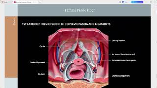 IMAGING ANATOMY ABDOMEN [upl. by Akeyla]