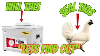 Will The Vevor DZ 260A Vacuum Sealer Seal A Whole Chicken Lets Find Out [upl. by Cyril]