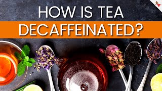 How Is Tea Decaffeinated  Which Teas Are Naturally Decaffeinated [upl. by Anayt]