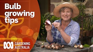 Everything you need to know about growing bulbs  Gardening 101  Gardening Australia [upl. by Inalawi]