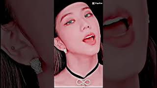 Blackpink members ice cream edit 😻🍨🍧editbyjuy [upl. by Naryb]