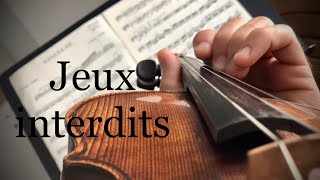 Jeux interdits  Live Violin amp Guitar performance  Cyril Baleton amp Ludovic Michel [upl. by Gelasius]