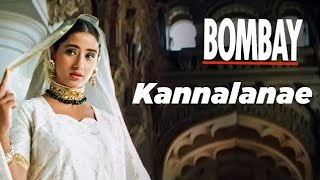 Kannalane Enadhu Kannai video Song HD  ARRahman  KSChithra  tamil love songs  tamil melody [upl. by Nodyl270]