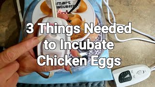 What Do I Need to Incubate Chicken Eggs [upl. by Ahsenroc]