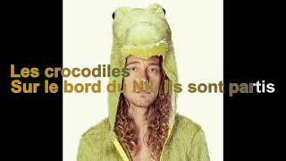 Julien Doré  Ah Les Crocodiles Paroles Audio HQ [upl. by Yrrek]