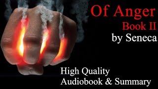 Seneca Of Anger Book 2  Audiobook amp Summary [upl. by Finbur677]