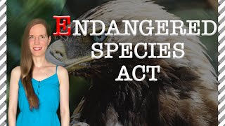 ENDANGERED Species Act 6 Things You Should Know [upl. by Morty]