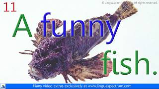 British English Vocabulary Fun and Funny  Learn English  One Minute English [upl. by Arber81]