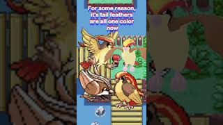 Reviewing Every Pokemon Design  Pidgey Line pokemon [upl. by Nnayd]