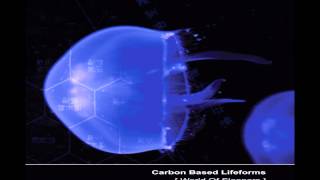 Carbon Based Lifeforms  World Of Sleepers Full Album [upl. by Haven]