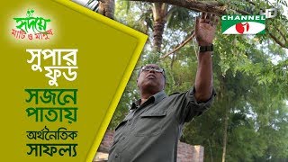 সুপার ফুড সজনে পাতায় অর্থনৈতিক সাফল্য  Shykh Seraj  Channel i  Moringa [upl. by Enidaj]