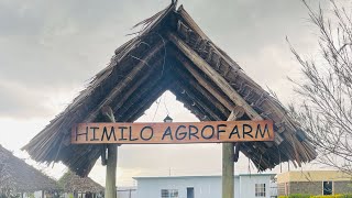 Beerta Himilo Agro Farm ilaa kisaju town kajiado [upl. by Norud]