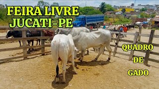 FEIRA LIVRE JUCATIPE [upl. by Atterehs]