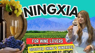 DAY 2  NINGXIA  A MustVisit Region in China for Wine Lover [upl. by Cyndia]