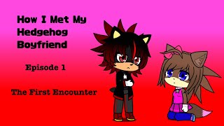 How I Met My Hedgehog Boyfriend  Episode 1 The First Encounter [upl. by Thayer]