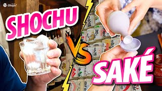 How are Shōchu and Saké Different  Tips for Beginners to Enjoy Shochu [upl. by Byrn]