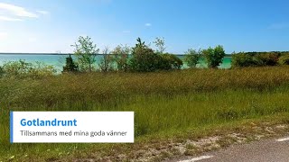 Gotlandrunt [upl. by Savihc]