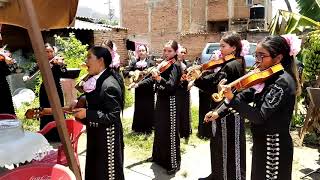 Mariachi para mi madre [upl. by Arrik852]