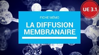 UE 21  La diffusion membranaire [upl. by Wardlaw264]