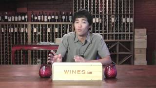 Tokaji Aszu  featuring Scott Ota for WInescom TV [upl. by Handel]