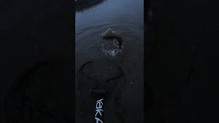 Absolutely EPIC Net Cam NetCam OG TheOriginal River SmallmouthBass Kayak Susquehanna [upl. by Akirdna]