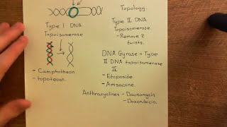 Topoisomerase Inhibitors Part 2 [upl. by Coralie]