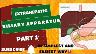 Extrahepatic biliary apparatus  in simplest wayayeshamedicaleducation [upl. by Oinotna994]