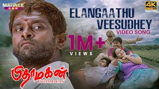 Elangaathu Veesudhey Video Song 4K Remastered  Pithamagan  Ilaiyaraaja  Vikram  Suriya [upl. by Menis]