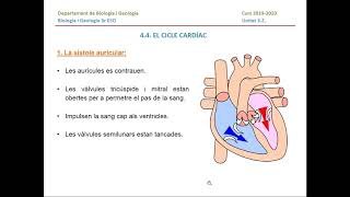 Unitat 32  L´aparell circulatori  El cicle cardíac  Video explicació [upl. by Kelda]