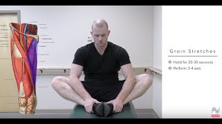 Top Treatments for a Pulled Groin  Groin Strain Exercises [upl. by Laddy476]