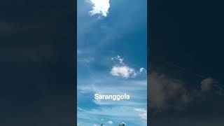 Flying test saranggola kite saranggola [upl. by Eeral]