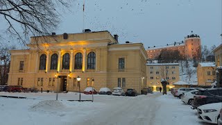 Uppsala Sweden  All 13 Student Nations Walking Tour 4K [upl. by Nelram]