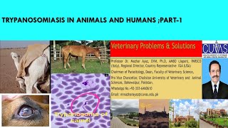 Trypanosomiasis in Cattle Horses Camel and Dogs Causes Symptoms Diagnosis and Treatment [upl. by Heidy]