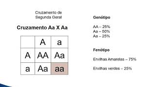 Aula 08 Herança Mendeliana Part 1 [upl. by Tila]