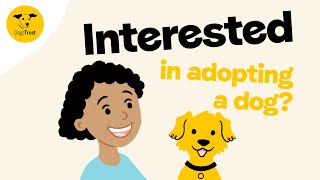 Thinking of adopting a dog  Dogs Trust [upl. by Neelia]