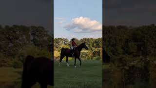 Margots Pony Club Just a Girl amp Her Horse 100724 😊🐎 [upl. by Hoban]