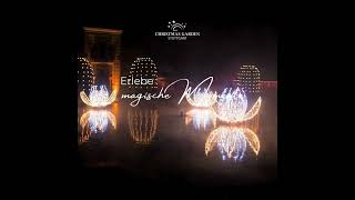 Erlebe magische Momente mit funkelnden Seerosen ✨🎄💫 christmasgarden christmas [upl. by Craner]