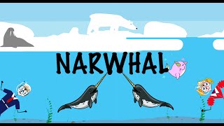 The narwhal song  Songs for kids  Aquatic animals for kids  Learn about narwhals [upl. by Gard]