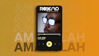 Roberto  The One Official Audio [upl. by Aloise235]