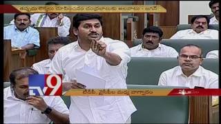 AP Assembly  YCP amp TDP cross swords  TV9 [upl. by Nuawad295]