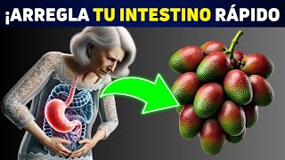 ¡IMPACTANTE ¡Estos 10 hábitos están arruinando tu digestión [upl. by Guimar]