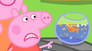 Peppa Pig Italiano  Dal veterinario 🐟 Collezione Italiano  Cartoni Animati [upl. by Bronwen]