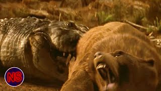 Grizzly Bear vs Giant Crocodile Battle  Lake Placid  Now Scaring [upl. by Lepley530]