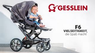 Gesslein Kinderwagen F6  F10 [upl. by Kwon]