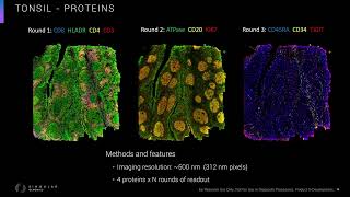 Labroots Webinar  Enabling Spatial Biology at Scale with InSitu Sequencing on the G4X [upl. by Ingaberg]