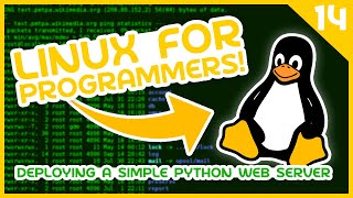 Linux for Programmers 14  Deploying a Simple Python Web Server [upl. by Felice247]