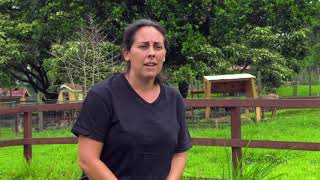 PBS Hawai‘i  HIKI NŌ Episode 1003  Konawaena Middle amp High   Dancing Goat Sanctuary [upl. by Gnohp]