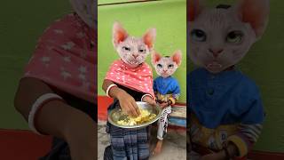 Ye Billi Khana Le 😳 funny comedy catlover cute duet shorts shortvideo viraltiktok [upl. by Akcimehs]